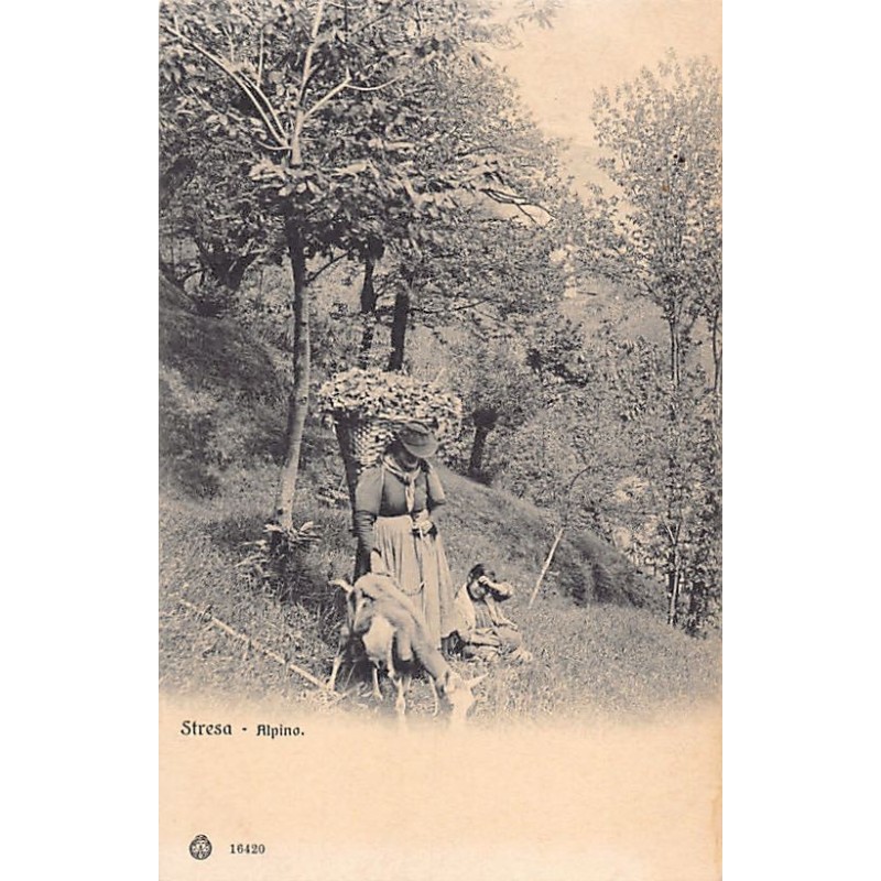 Rare collectable postcards of Italy. Vintage Postcards of Italy