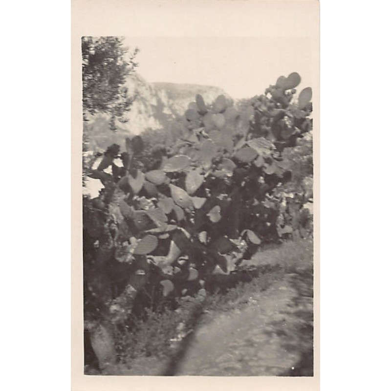 Rare collectable postcards of Italy. Vintage Postcards of Italy