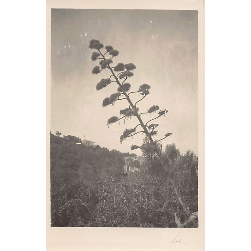 Rare collectable postcards of Italy. Vintage Postcards of Italy