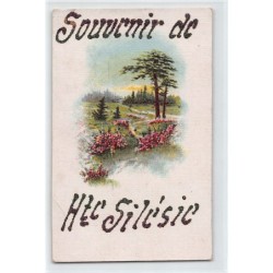 Rare collectable postcards of Poland. Vintage Postcards of Poland
