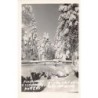 Rare collectable postcards of Poland. Vintage Postcards of Poland