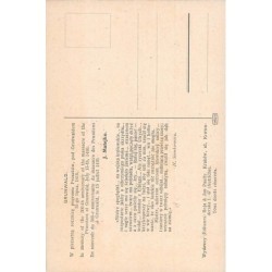 Rare collectable postcards of Poland. Vintage Postcards of Poland