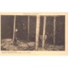Rare collectable postcards of Poland. Vintage Postcards of Poland