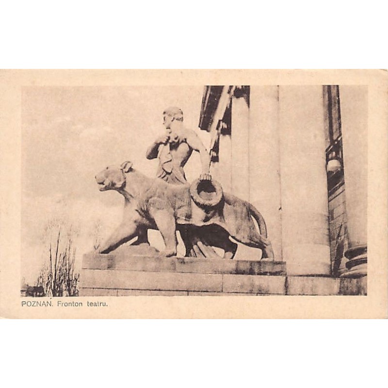 Rare collectable postcards of Poland. Vintage Postcards of Poland