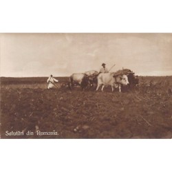 Rare collectable postcards of Romania. Vintage Postcards of Romania