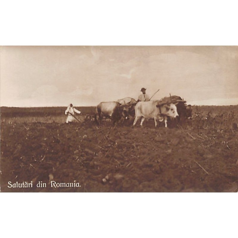 Rare collectable postcards of Romania. Vintage Postcards of Romania
