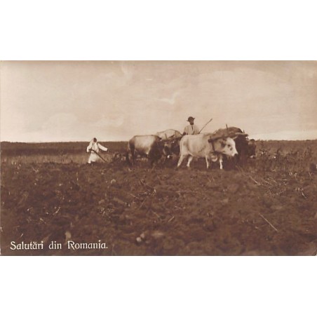 Rare collectable postcards of Romania. Vintage Postcards of Romania