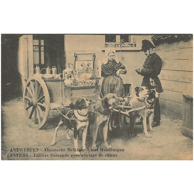 Rare collectable postcards of Belgium. Vintage Postcards of Belgium