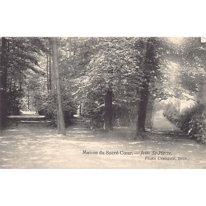 Rare collectable postcards of Belgium. Vintage Postcards of Belgium