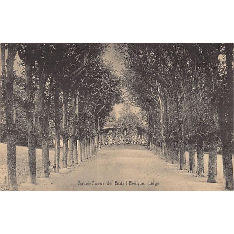 Rare collectable postcards of Belgium. Vintage Postcards of Belgium