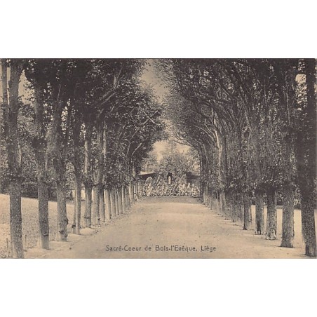 Rare collectable postcards of Belgium. Vintage Postcards of Belgium