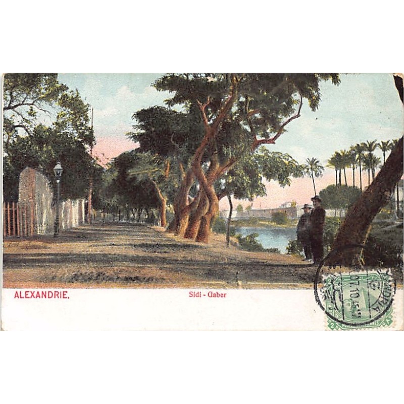 Rare collectable postcards of Egypt. Vintage Postcards of Egypt