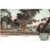 Rare collectable postcards of Egypt. Vintage Postcards of Egypt