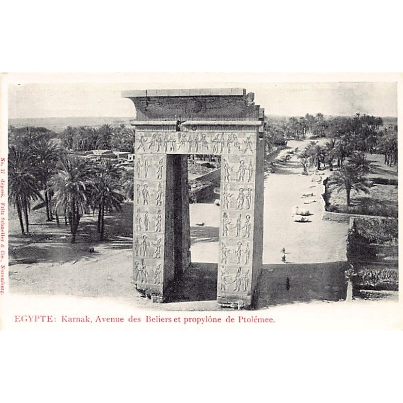 Rare collectable postcards of Egypt. Vintage Postcards of Egypt