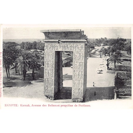 Rare collectable postcards of Egypt. Vintage Postcards of Egypt