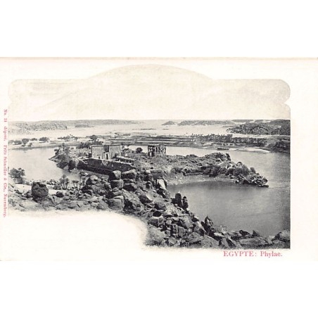 Rare collectable postcards of Egypt. Vintage Postcards of Egypt