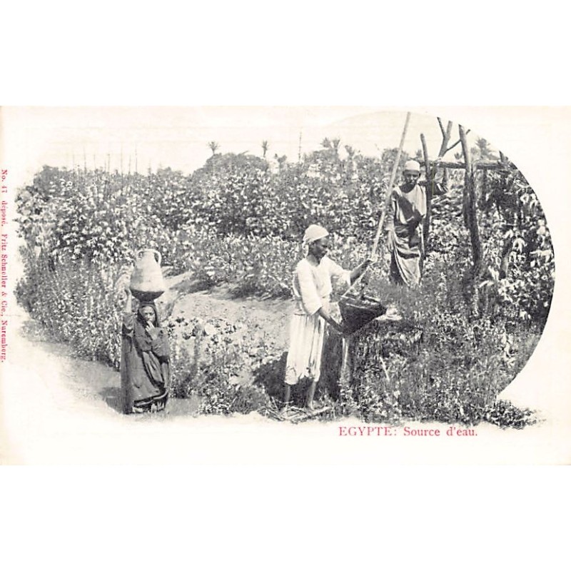 Rare collectable postcards of Egypt. Vintage Postcards of Egypt