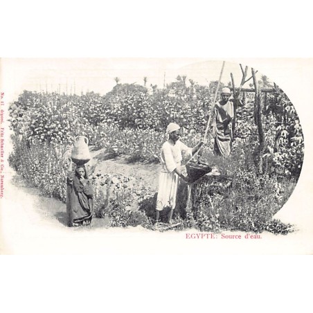Rare collectable postcards of Egypt. Vintage Postcards of Egypt