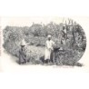 Rare collectable postcards of Egypt. Vintage Postcards of Egypt