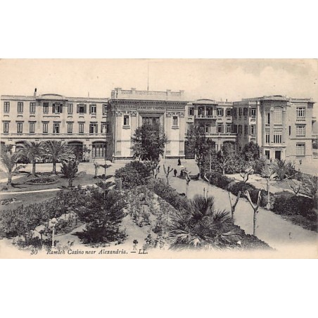 Rare collectable postcards of Egypt. Vintage Postcards of Egypt