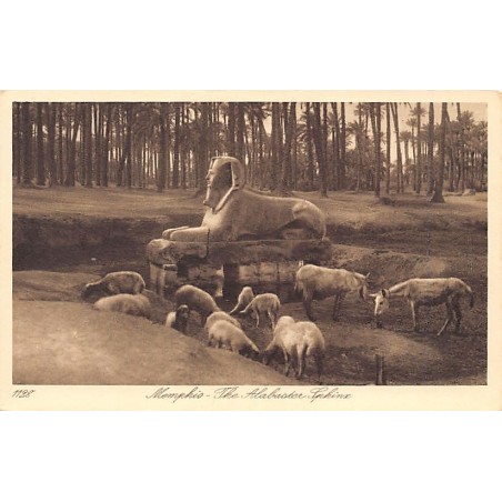 Rare collectable postcards of Egypt. Vintage Postcards of Egypt
