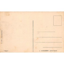 Rare collectable postcards of Egypt. Vintage Postcards of Egypt