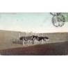 Rare collectable postcards of Egypt. Vintage Postcards of Egypt
