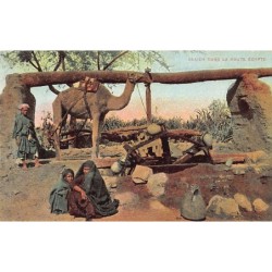 Rare collectable postcards of Egypt. Vintage Postcards of Egypt