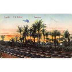 Rare collectable postcards of Egypt. Vintage Postcards of Egypt
