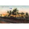 Rare collectable postcards of Egypt. Vintage Postcards of Egypt