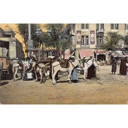 Rare collectable postcards of Egypt. Vintage Postcards of Egypt