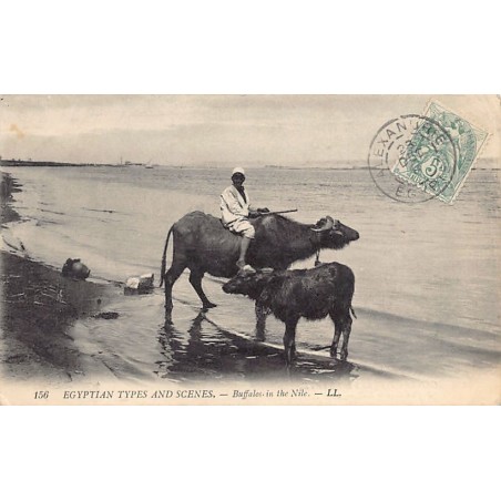 Rare collectable postcards of Egypt. Vintage Postcards of Egypt