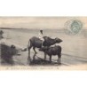 Rare collectable postcards of Egypt. Vintage Postcards of Egypt