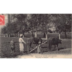 Rare collectable postcards of Egypt. Vintage Postcards of Egypt