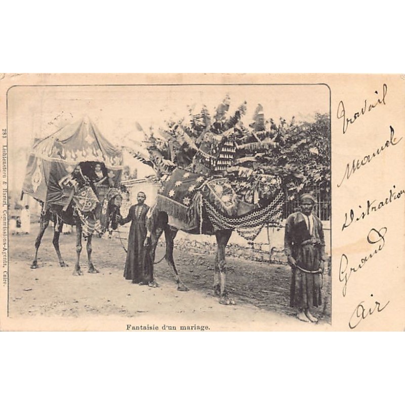 Rare collectable postcards of Egypt. Vintage Postcards of Egypt