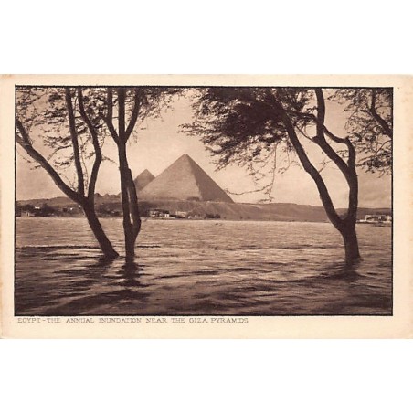 Rare collectable postcards of Egypt. Vintage Postcards of Egypt