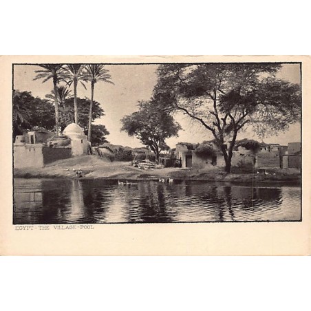 Rare collectable postcards of Egypt. Vintage Postcards of Egypt