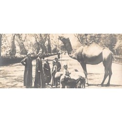 Rare collectable postcards of Egypt. Vintage Postcards of Egypt