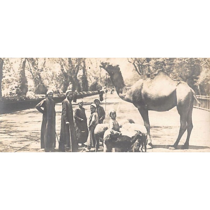 Rare collectable postcards of Egypt. Vintage Postcards of Egypt