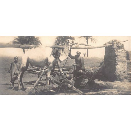 Rare collectable postcards of Egypt. Vintage Postcards of Egypt