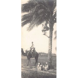 Rare collectable postcards of Egypt. Vintage Postcards of Egypt