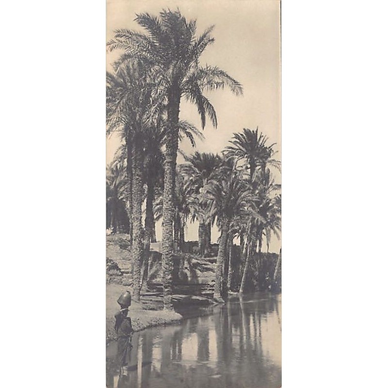 Rare collectable postcards of Egypt. Vintage Postcards of Egypt