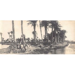 Rare collectable postcards of Egypt. Vintage Postcards of Egypt