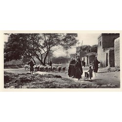 Rare collectable postcards of Egypt. Vintage Postcards of Egypt