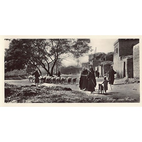 Rare collectable postcards of Egypt. Vintage Postcards of Egypt