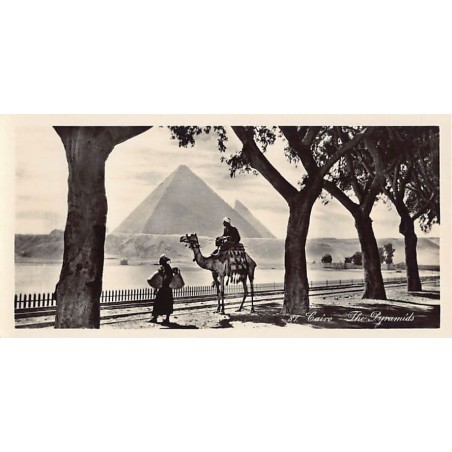 Rare collectable postcards of Egypt. Vintage Postcards of Egypt