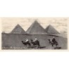 Rare collectable postcards of Egypt. Vintage Postcards of Egypt