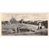 Rare collectable postcards of Egypt. Vintage Postcards of Egypt