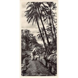 Rare collectable postcards of Egypt. Vintage Postcards of Egypt