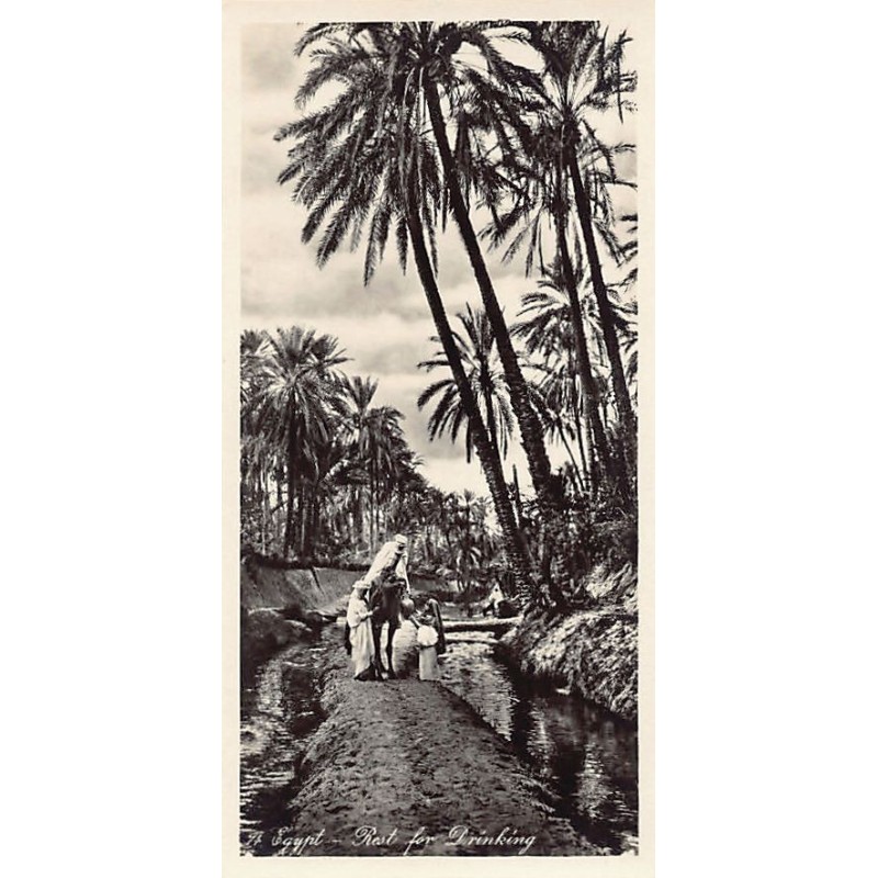Rare collectable postcards of Egypt. Vintage Postcards of Egypt